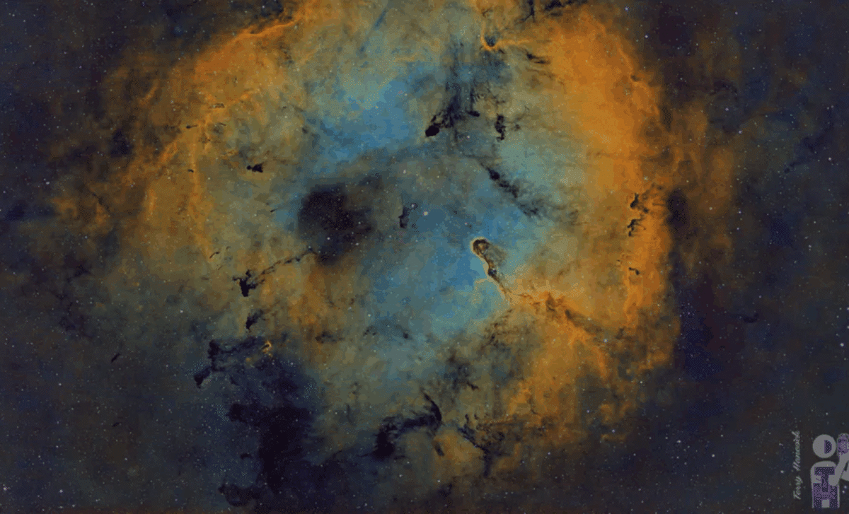 Astrophotographer Unveils Breathtaking Details of the Elephant Trunk Nebula 