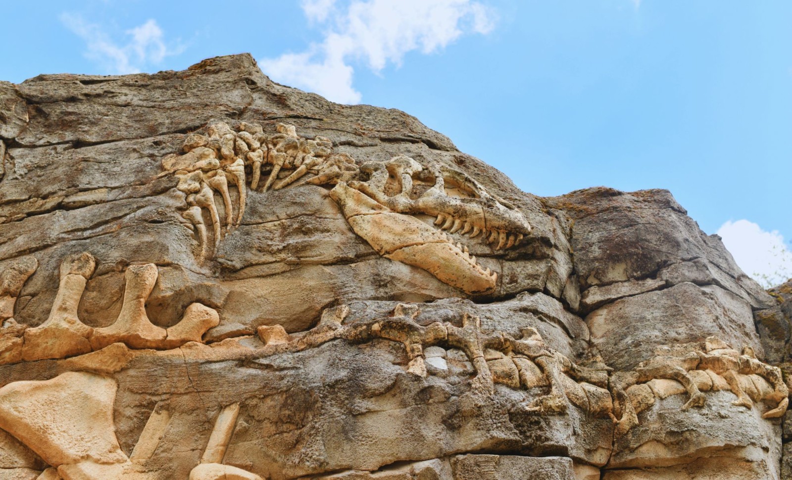 Massive 92-Foot Dinosaur Unearthed in China's Sichuan Basin 