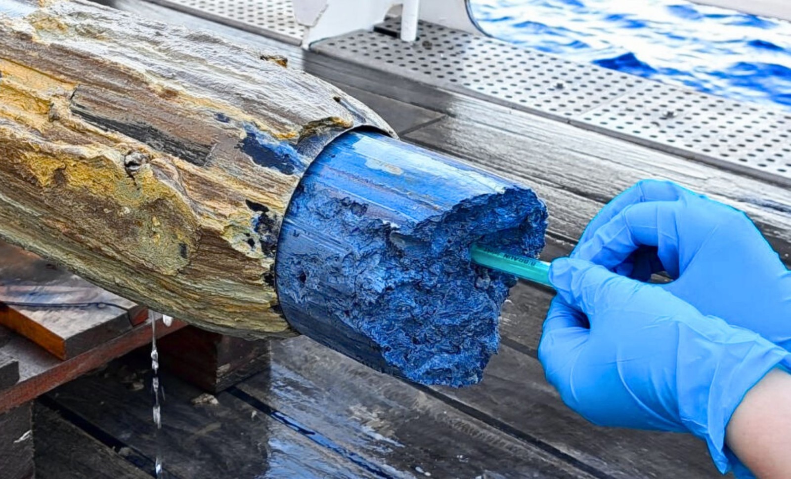 Scientists Discover Unique Blue Volcanic Mud Harboring Life at the Bottom of the Pacific 