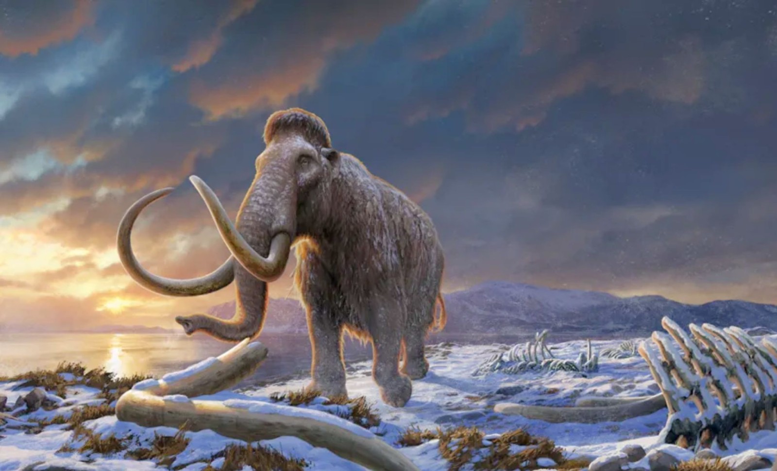 Scientists Decode the Oldest RNA from a Mammoth Frozen for Nearly 40,000 Years 