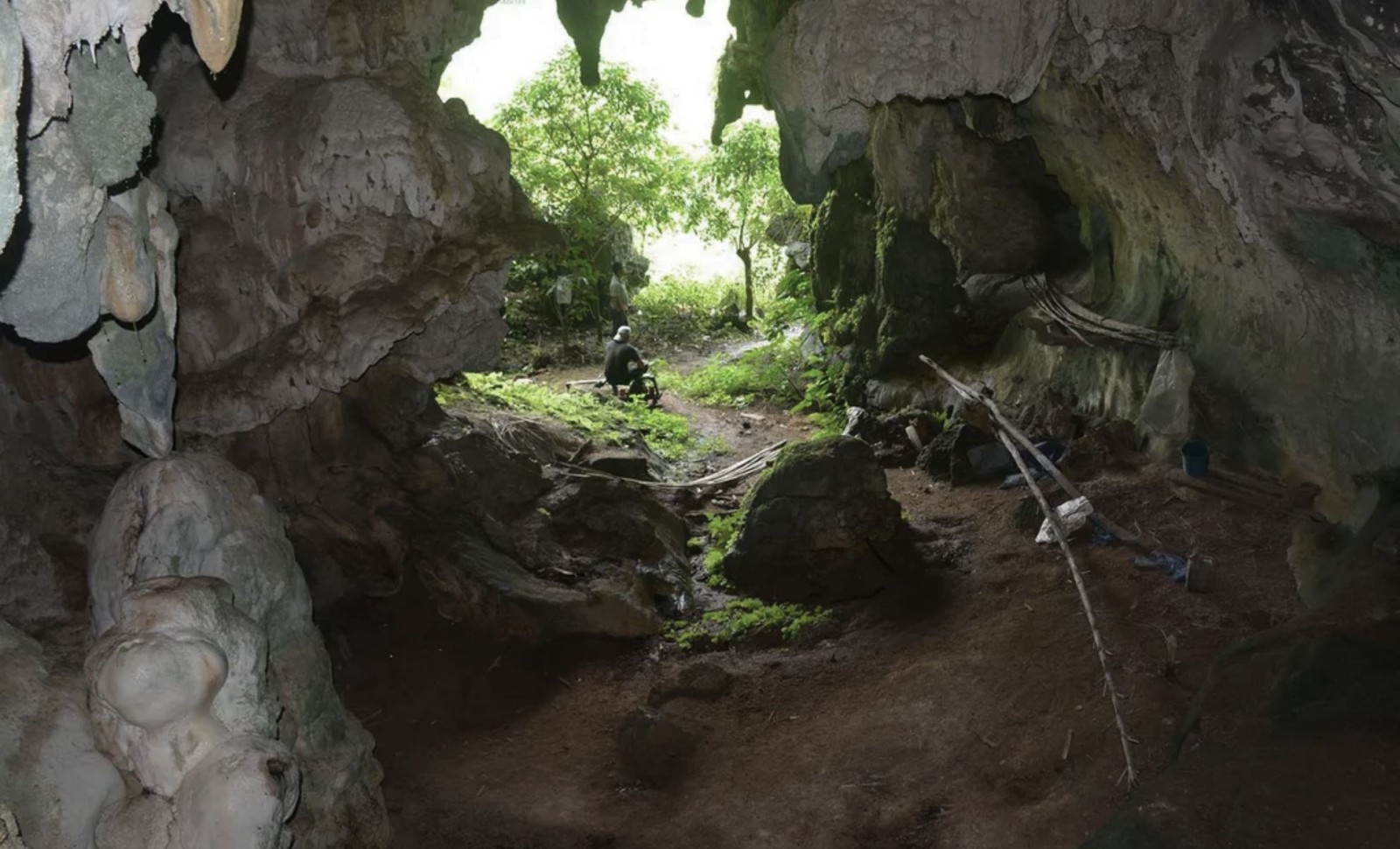 Ancient Indonesian Cave Painting Reveals Earliest Known Storytelling Art 