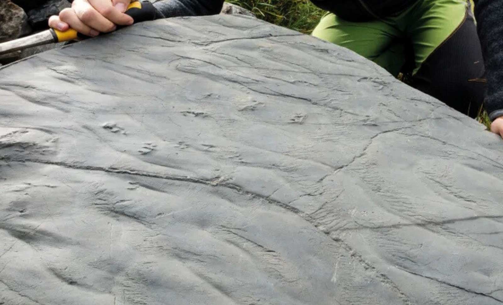 Ancient Fossilized Tracks Unearthed in the Italian Alps Reveal Pre-Dinosaur Creatures 