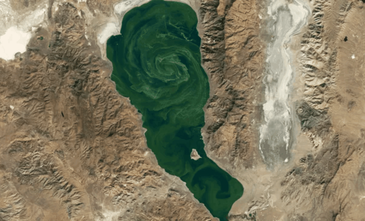 NASA Satellite Reveals Intense Toxic Algae Bloom in Nevada's Pyramid Lake 