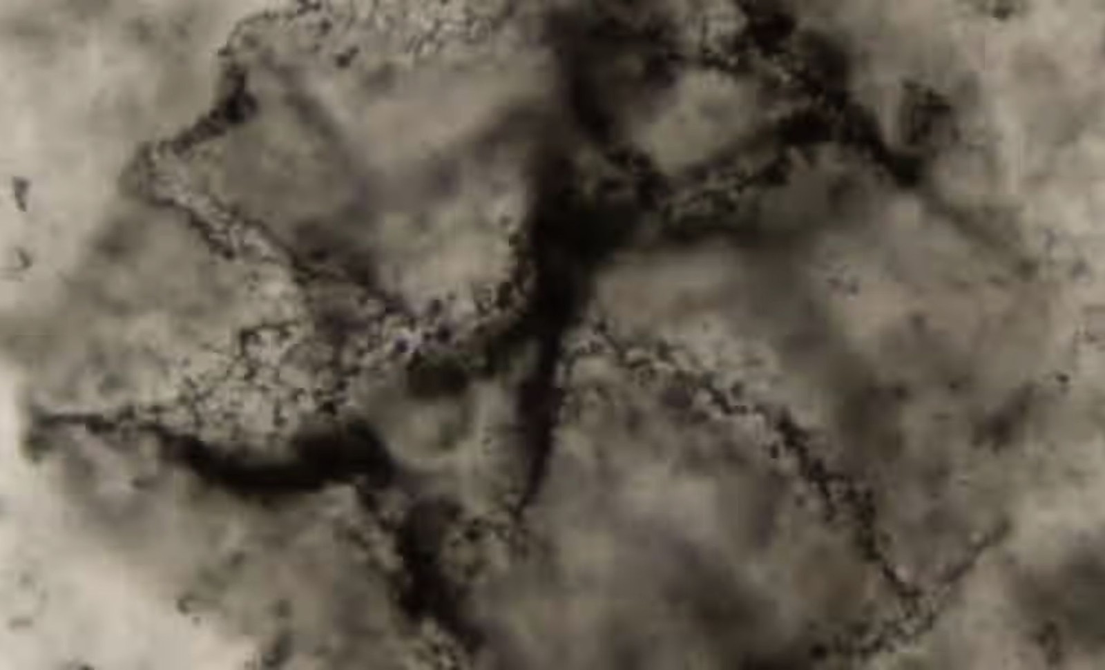 Researchers Discover 3.3 Billion-Year-Old Chemical Traces Signaling Early Life 