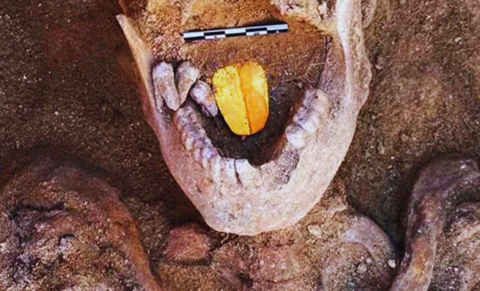 Egyptian Tomb Yields Unprecedented Golden Tongues and Nails from Greco-Roman Era 