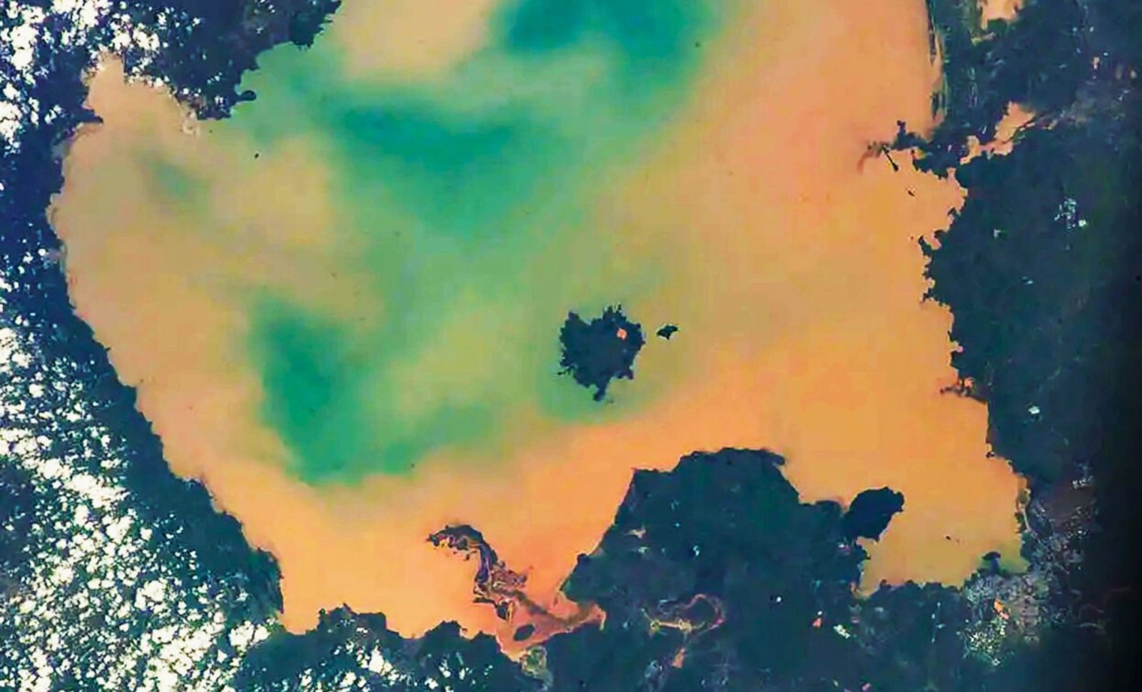 Astronaut Captures Alarming Shift of Ethiopia’s Lake Tana From Pristine Blue to Toxic Green 