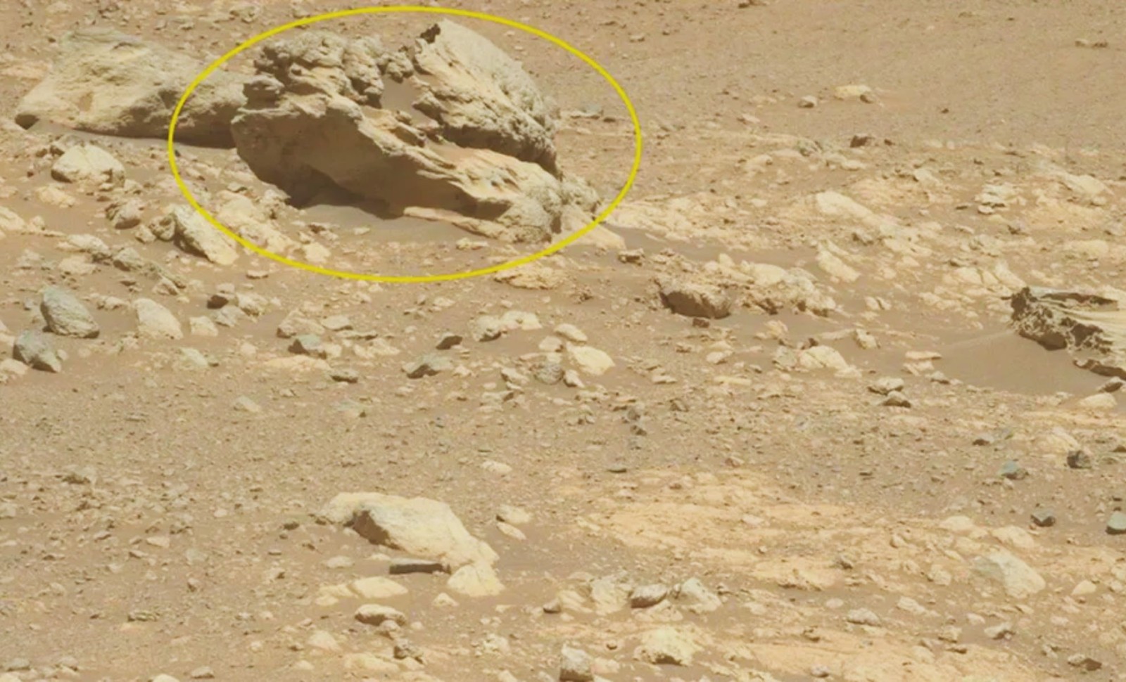 Rare Meteorite Discovery by NASA’s Perseverance Rover Adds New Puzzle to Mars Exploration 