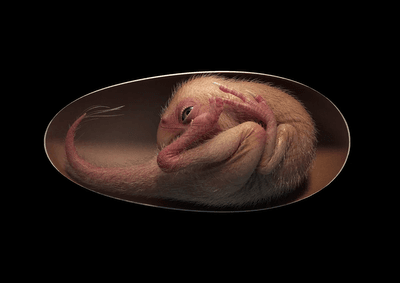 a1608198660de8d3527af3a9c6b0c030.png