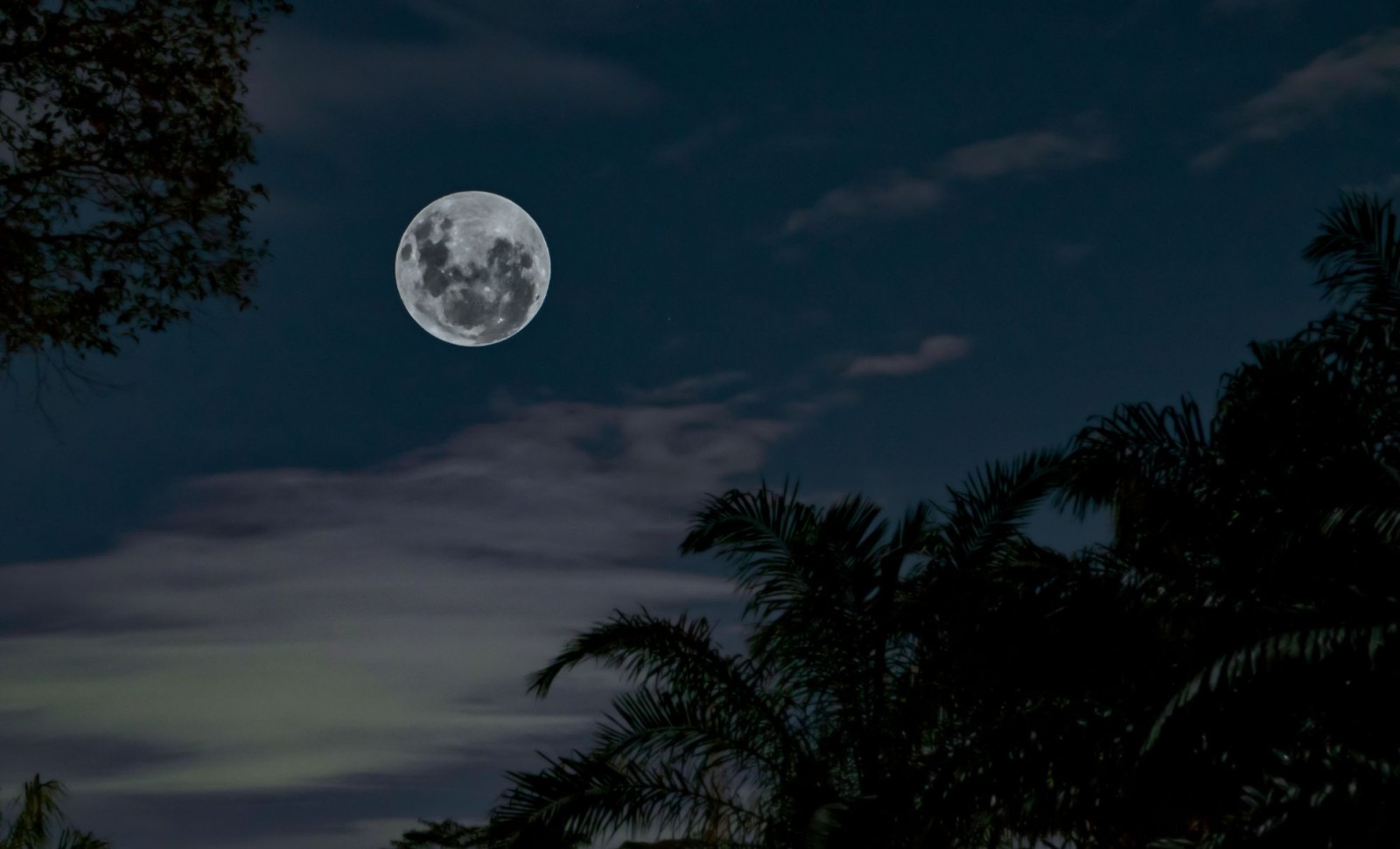 Catch the Last Supermoon of 2025: The Bright December Cold Moon 