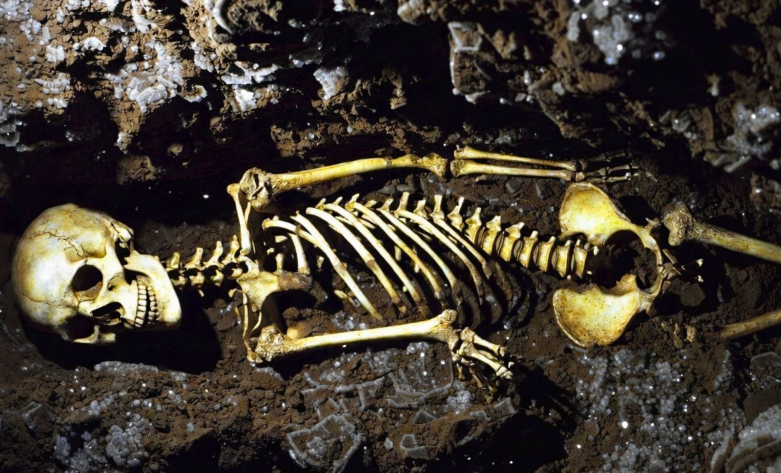 Ancient 1-Million-Year-Old Skull Sheds Light on Coexistence of Human Species for 800,000 Years 