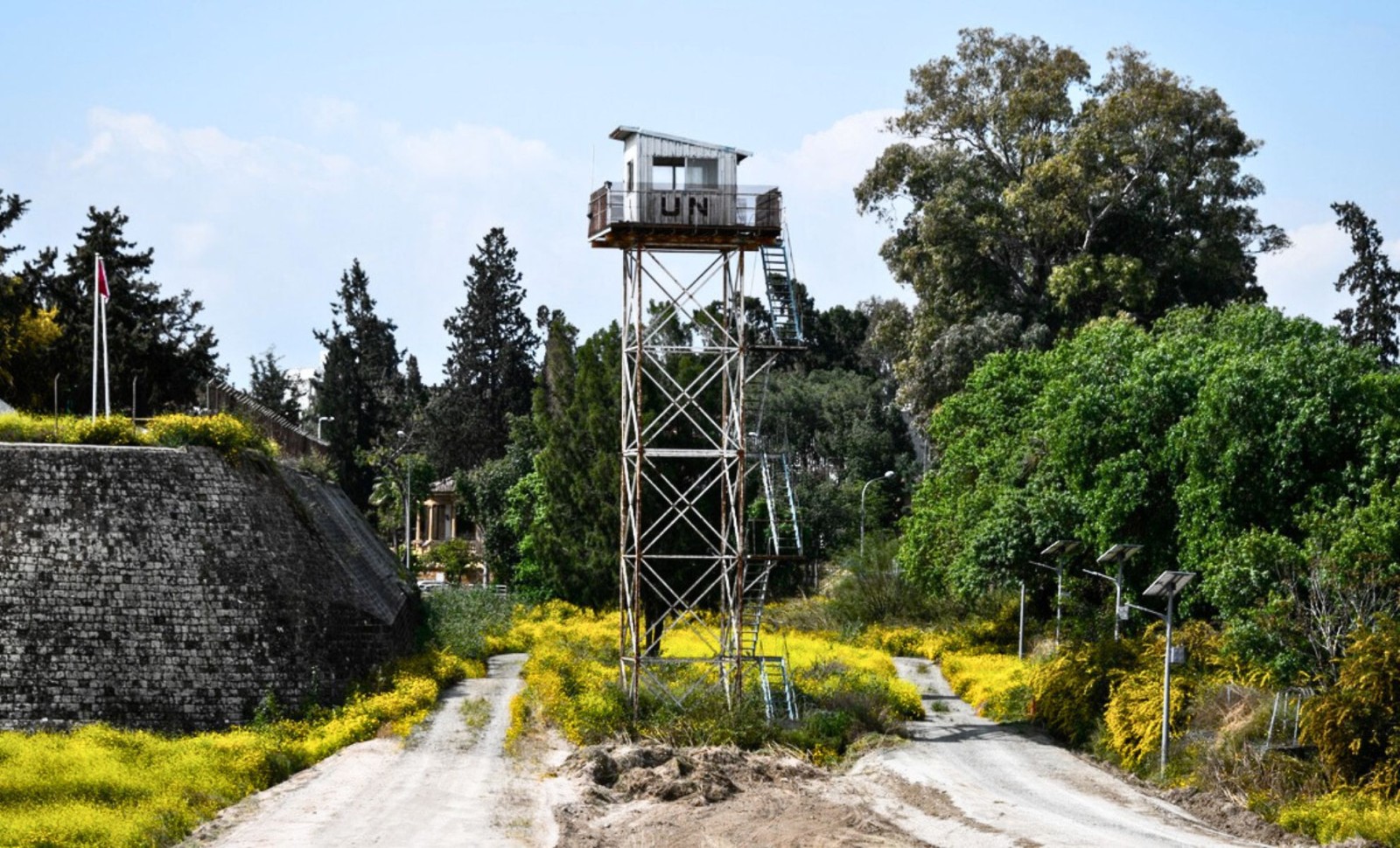 Cyprus's Divided Land: How the 'Green Line' Became a Surprising Wildlife Refuge 
