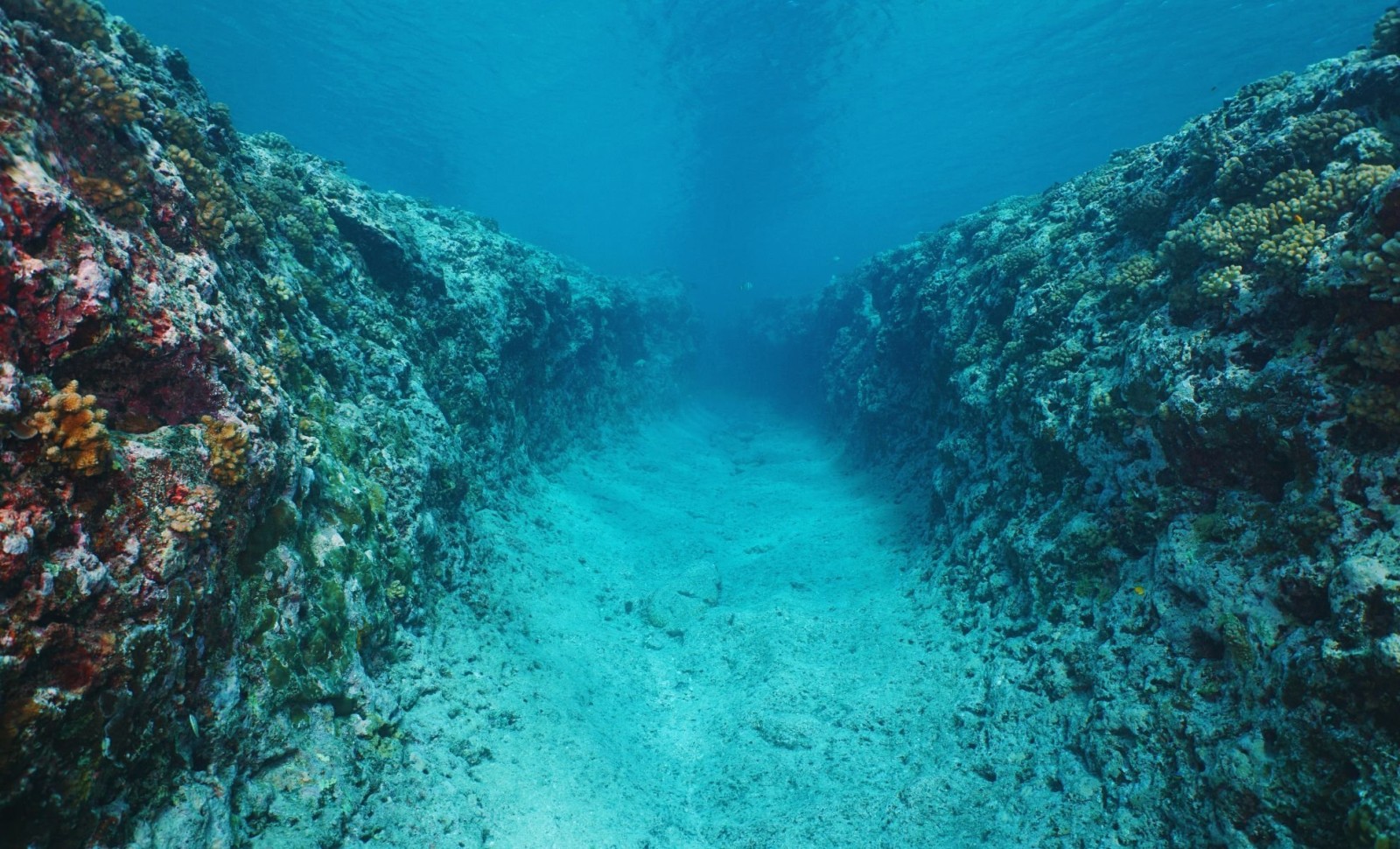 Hidden Beneath the Indian Ocean: Discovery of an Ancient Buried Microcontinent 