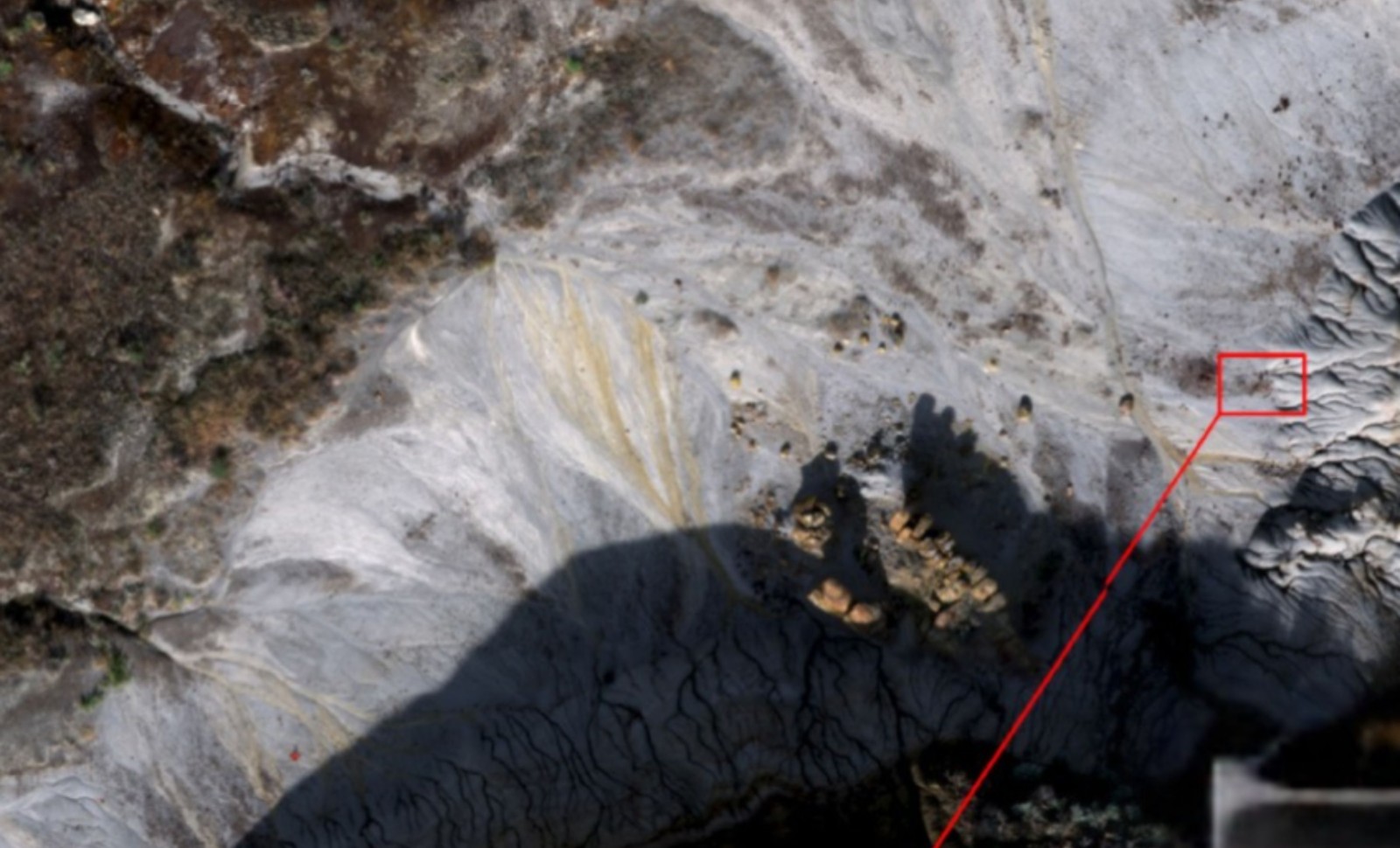 Drones and Lichens Lead to Breakthrough Dinosaur Fossil Discoveries 