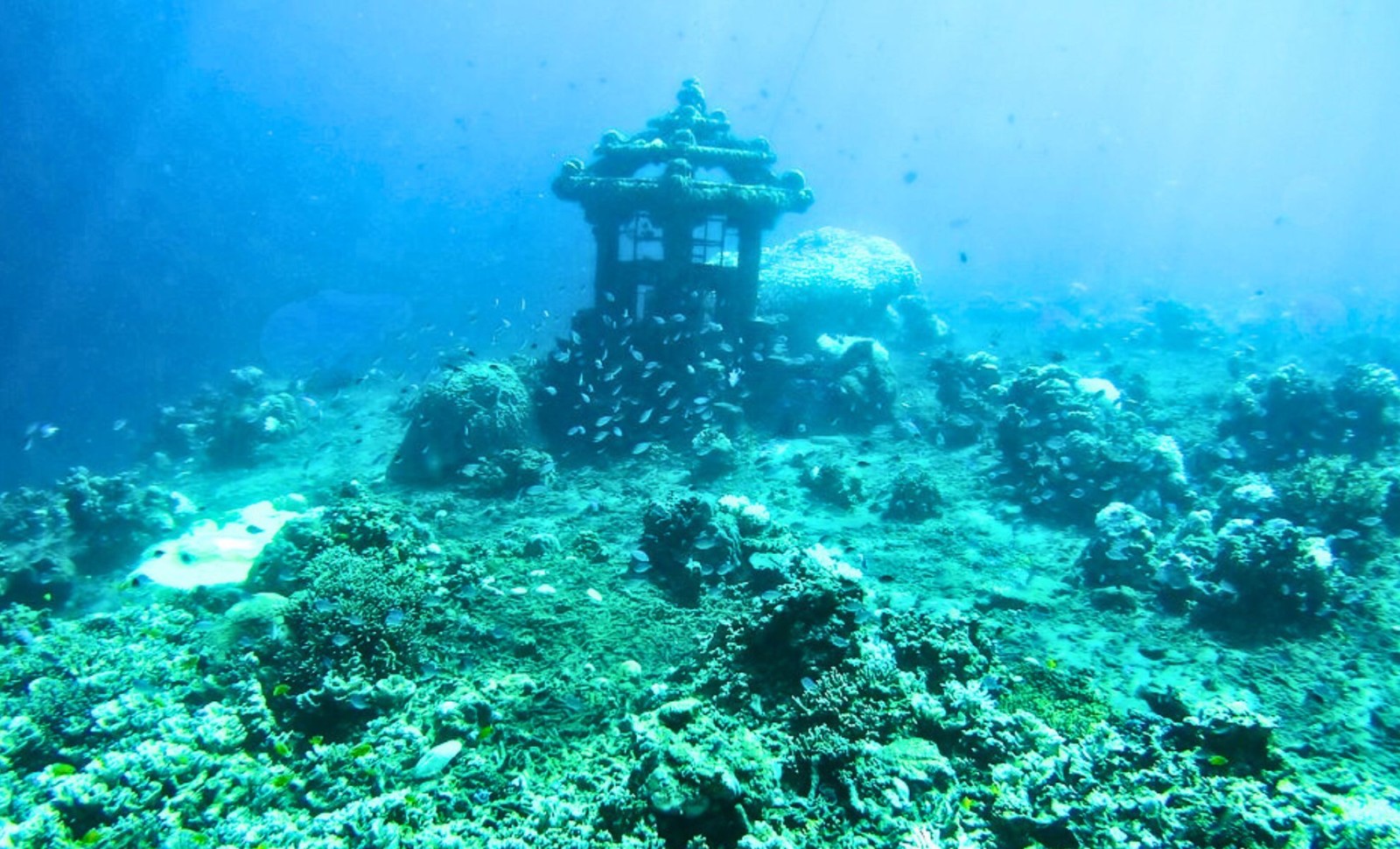 Scientists Discover 140,000-Year-Old Submerged Landscape with Early Humans and Giant Wildlife 