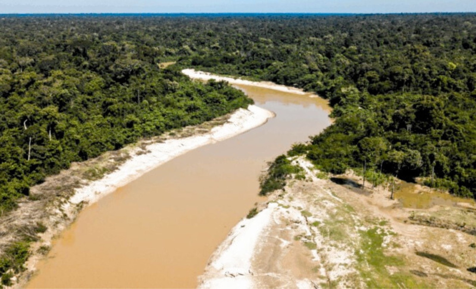 Rediscovery of a Fish Species Thought Lost for Decades in Bolivia’s Remote Wilderness 