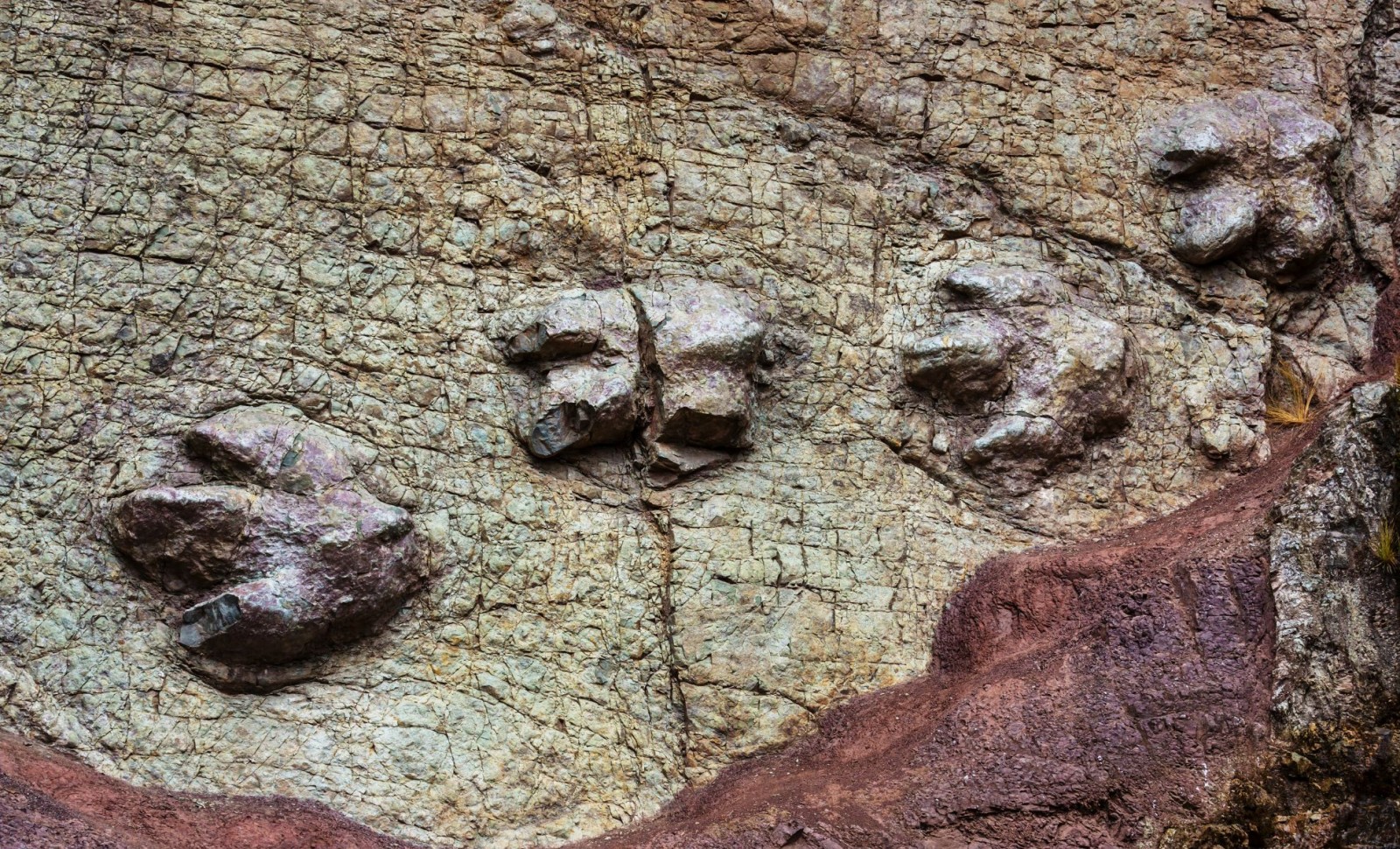 Rare Fossil Footprint Reveals Baby Stegosaur’s Unique Cat-Like Gait 