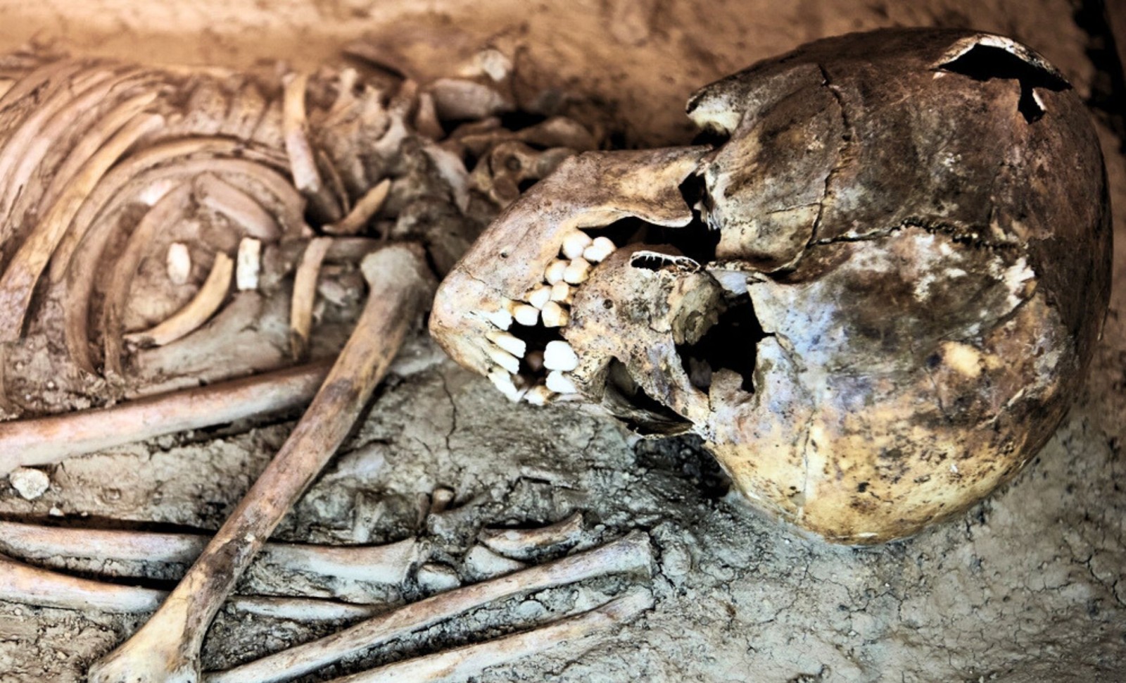 Unveiling Skhūl: Israel's Ancient Child May Be the Oldest Human-Neanderthal Hybrid 
