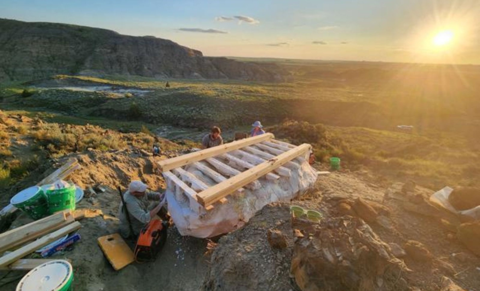 Minnesota Uncovers Remarkably Intact Dinosaur Mummy from Late Cretaceous Era 