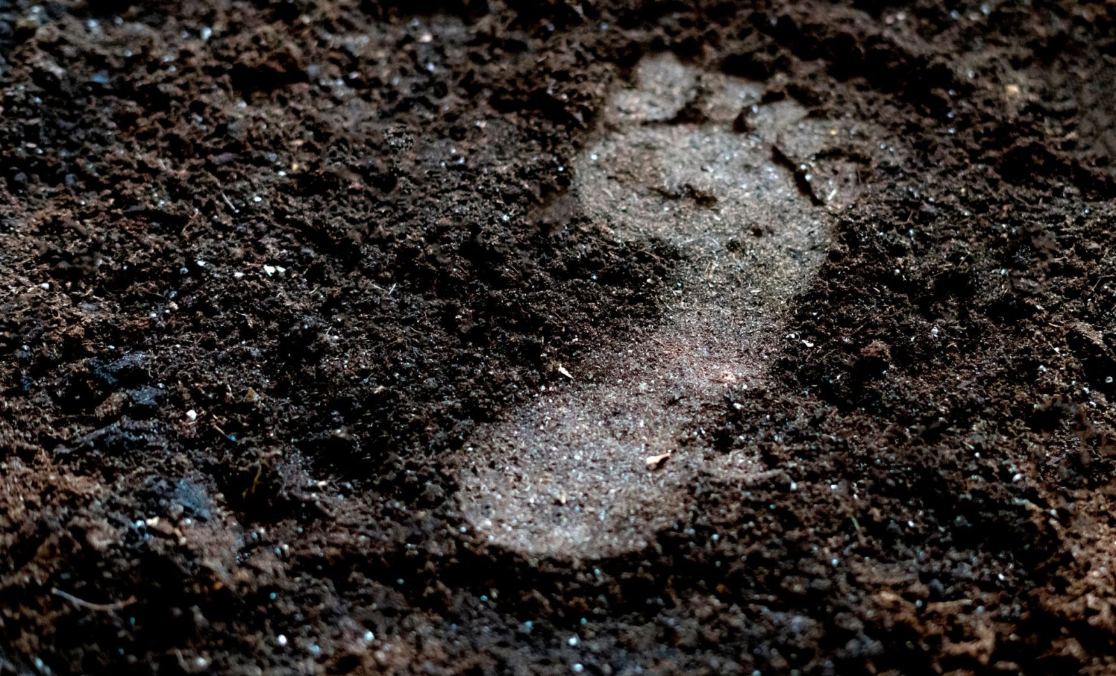 Ancient Human Footprints Unearthed in New Mexico Rewrite North American History 