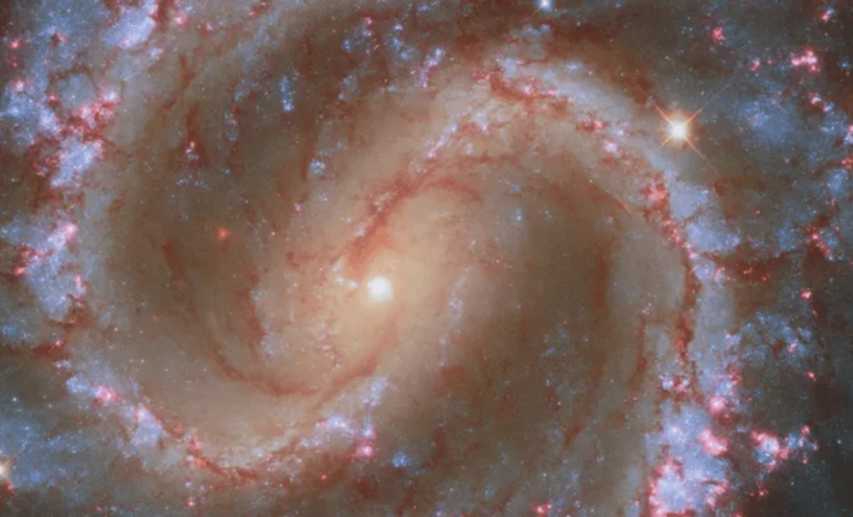 Hubble Captures Stunning Image of 'Lost Galaxy' NGC 4535, 50 Million Light-Years Away 