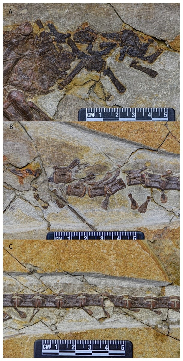 3095e92f098ba9cfa7376e41eeea00e9.jpg