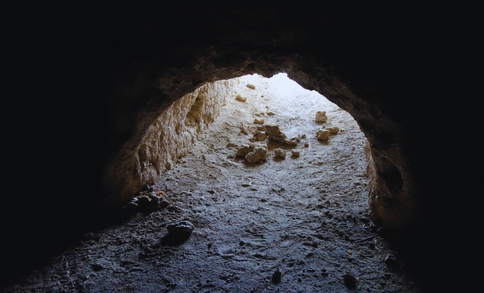 Enormous Subterranean Tunnels in South America Linked to Ancient Giant Sloths 