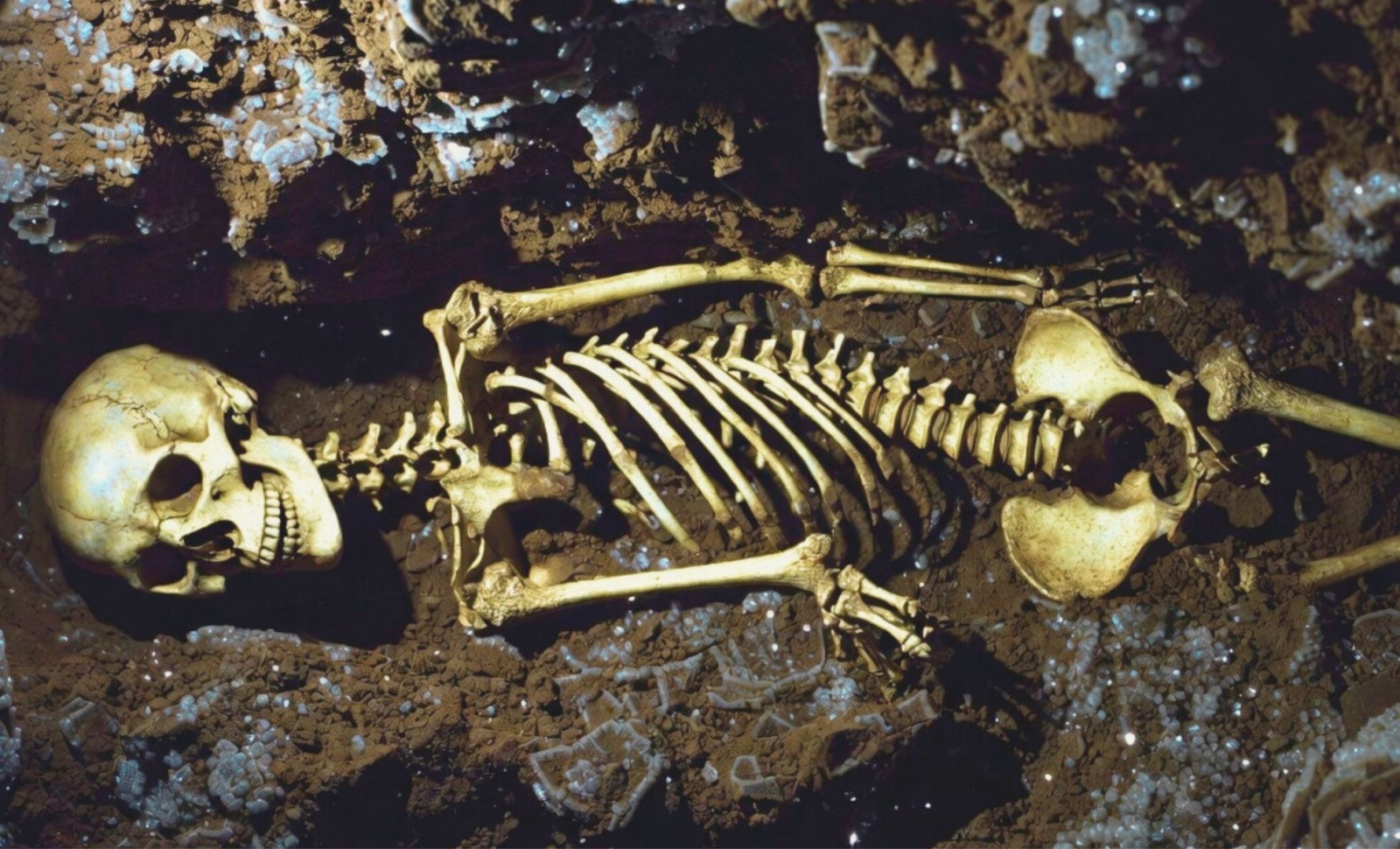Ancient Egyptian DNA Reveals Unexpected Genetic Blend Linking Two Early Civilizations 