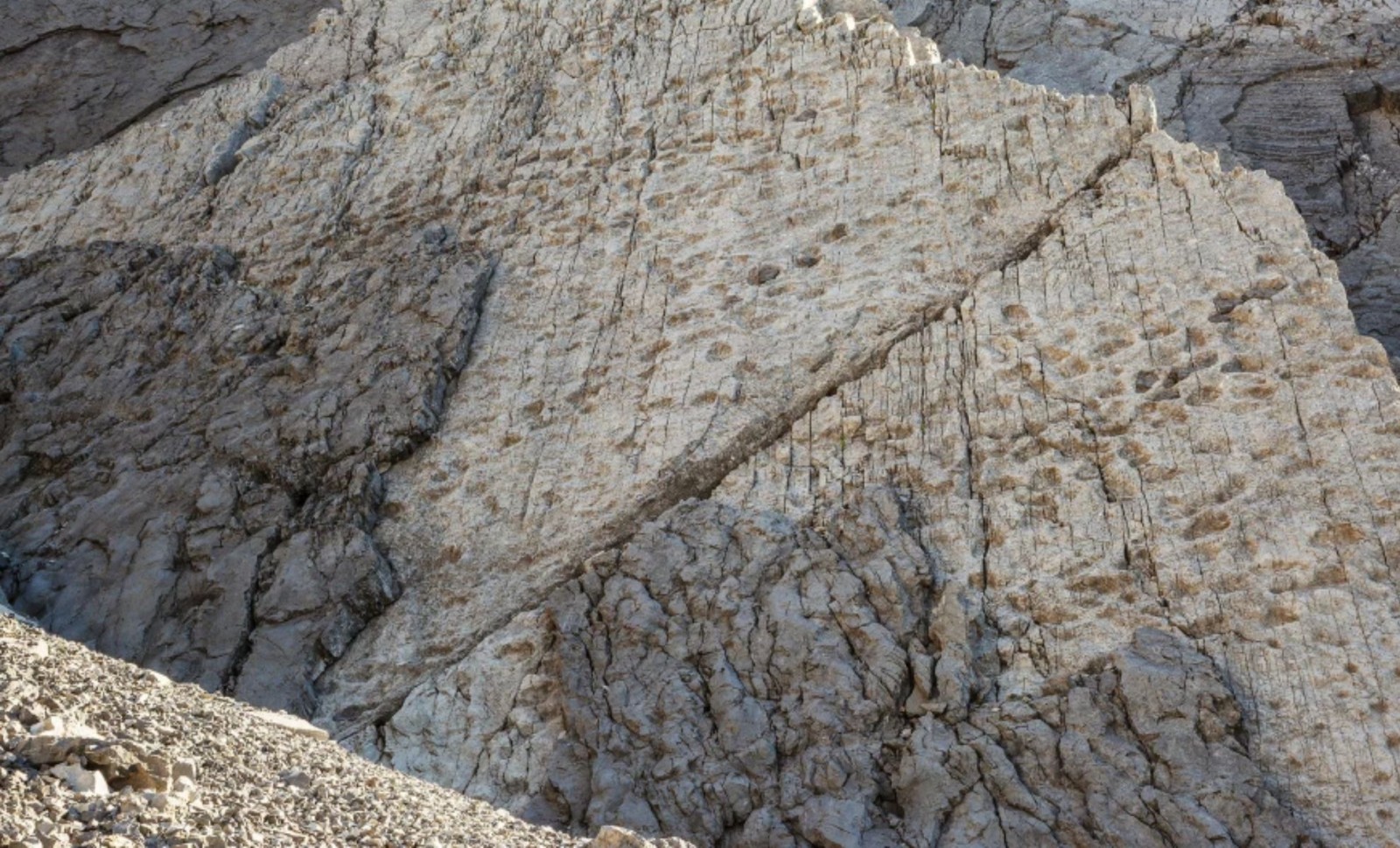 Thousands of Dinosaur Tracks Uncovered Near Upcoming Olympic Site in Italy 