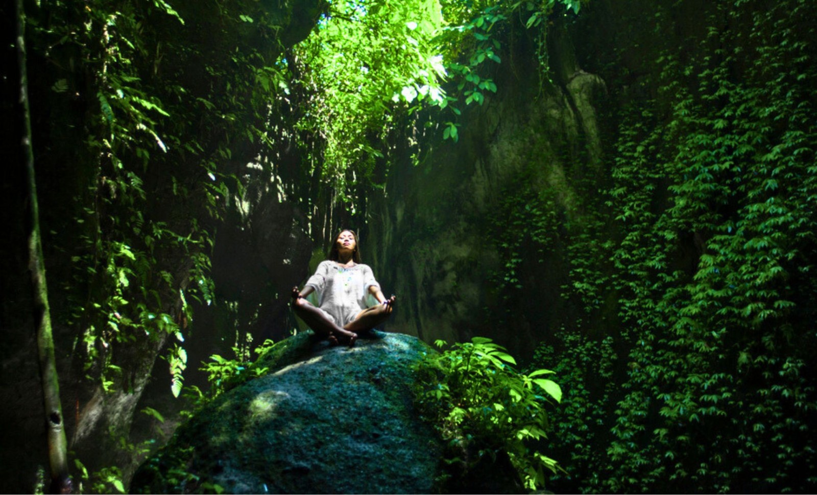 Unveiling the Evolutionary Clash Between Humans and Modern Environments 