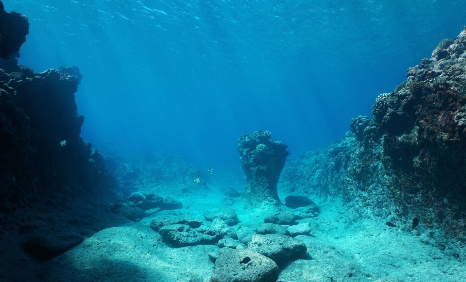 Ancient 7,000-Year-Old Submerged Stone Wall Discovered Off French Coast 