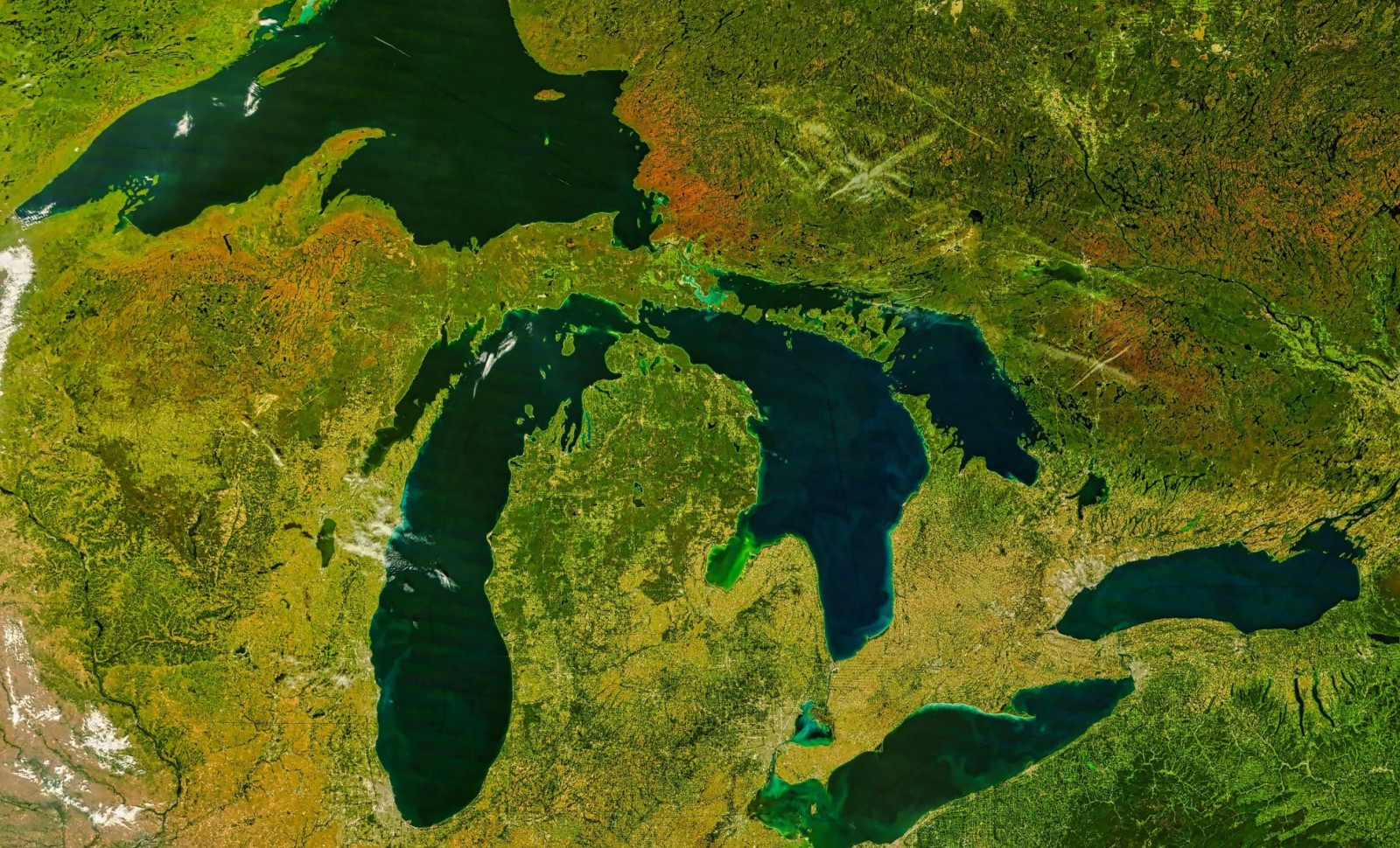 The Rise and Fall of Paratethys: Earth's Largest Ancient Lake and Its Impact 