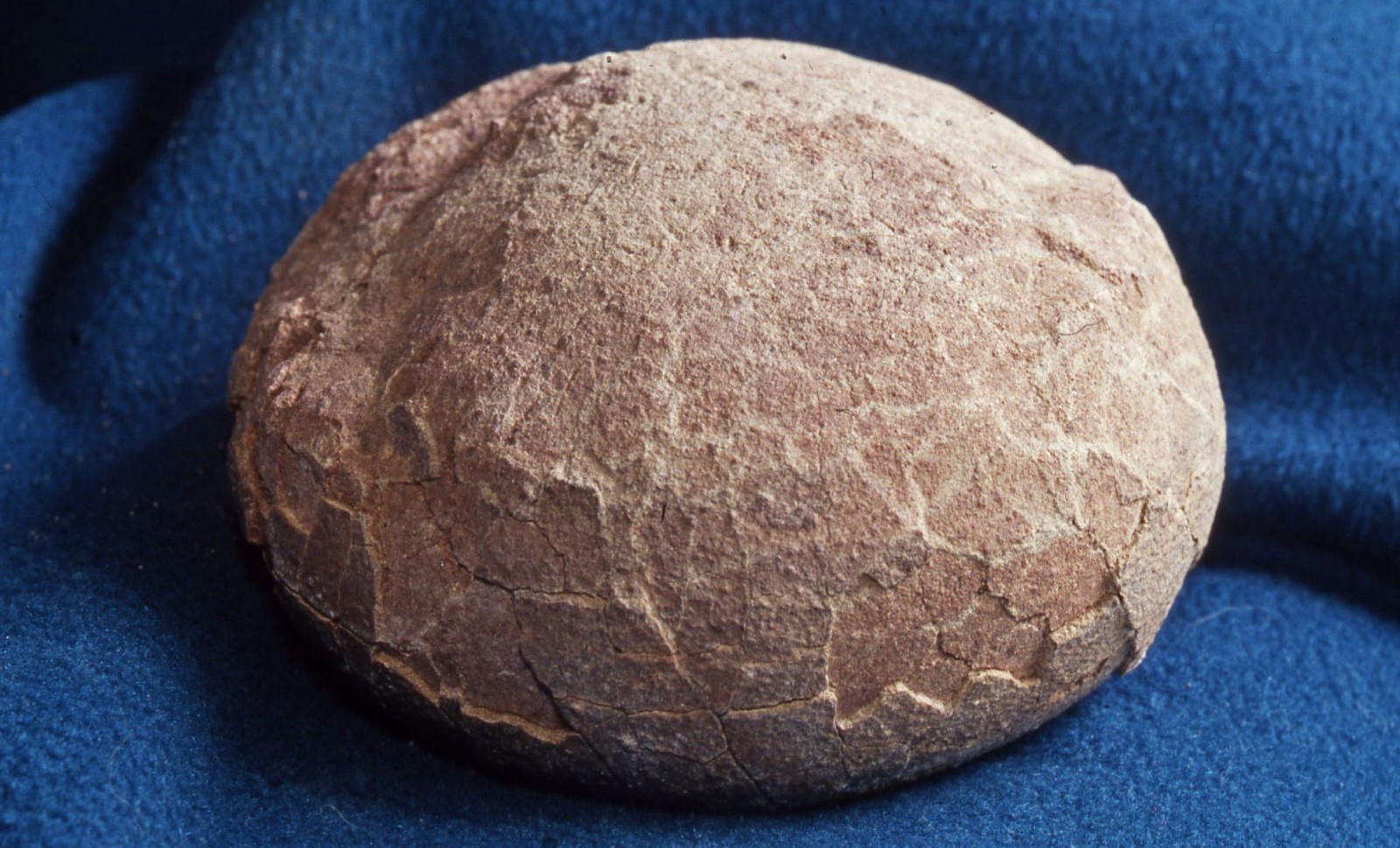 New Crystal-Filled Dinosaur Eggs Unearthed in China Reveal Unique Fossil Details 