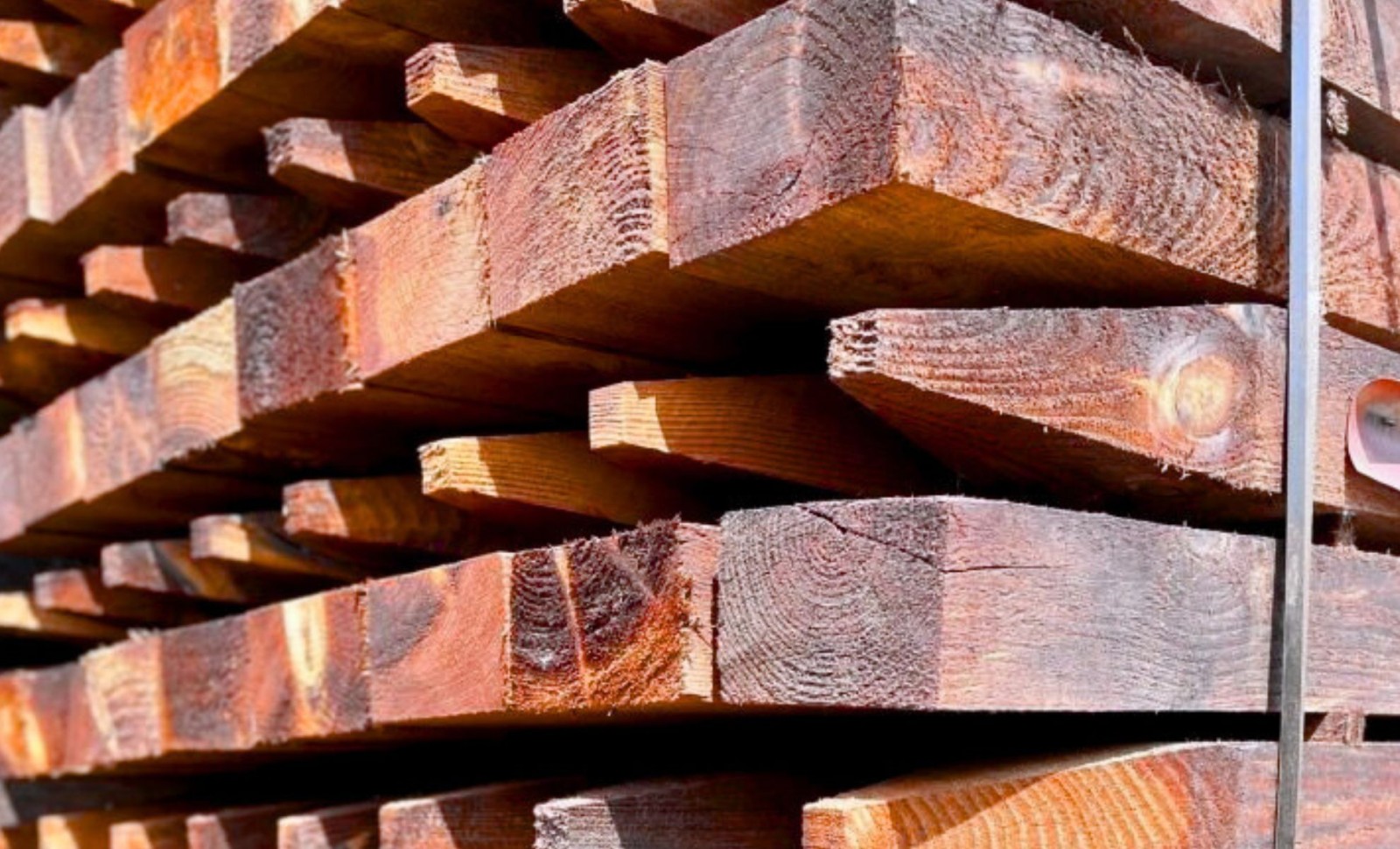 U.S. Researchers Develop “Superwood” That Surpasses Steel in Strength and Sustainability 