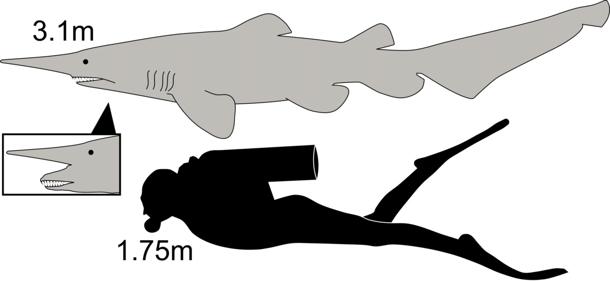ede7626c86b400b3ef5eac7e8df5bb2c.png