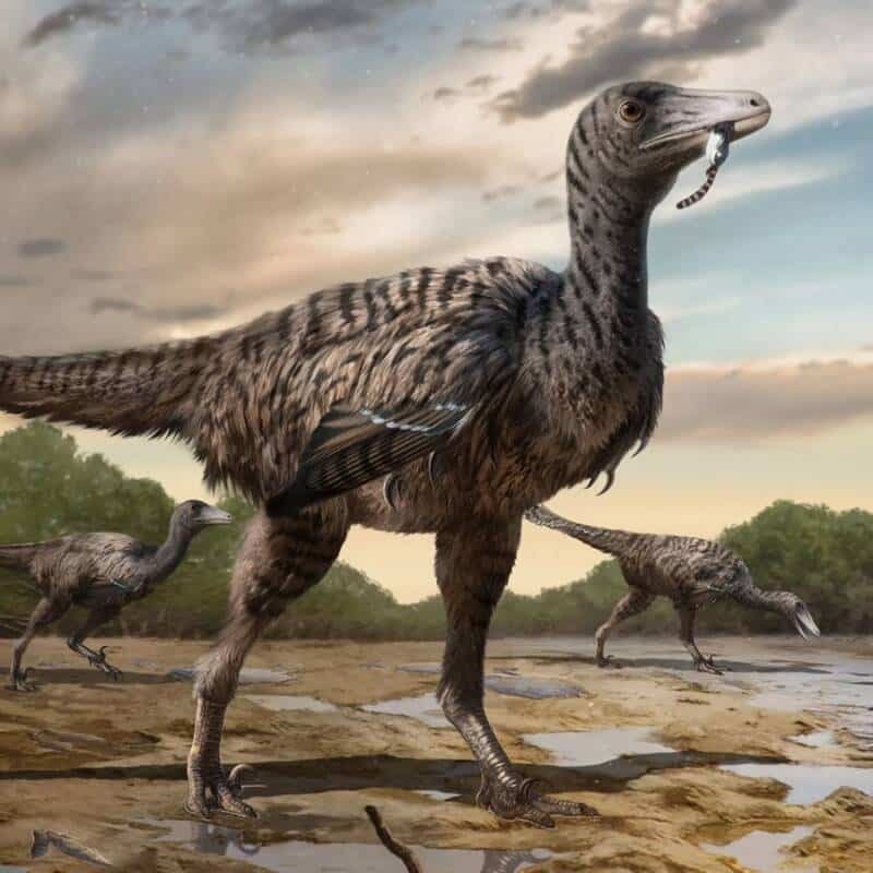 24d7447b3c2fc7c52d433bb85b581e2c.jpg