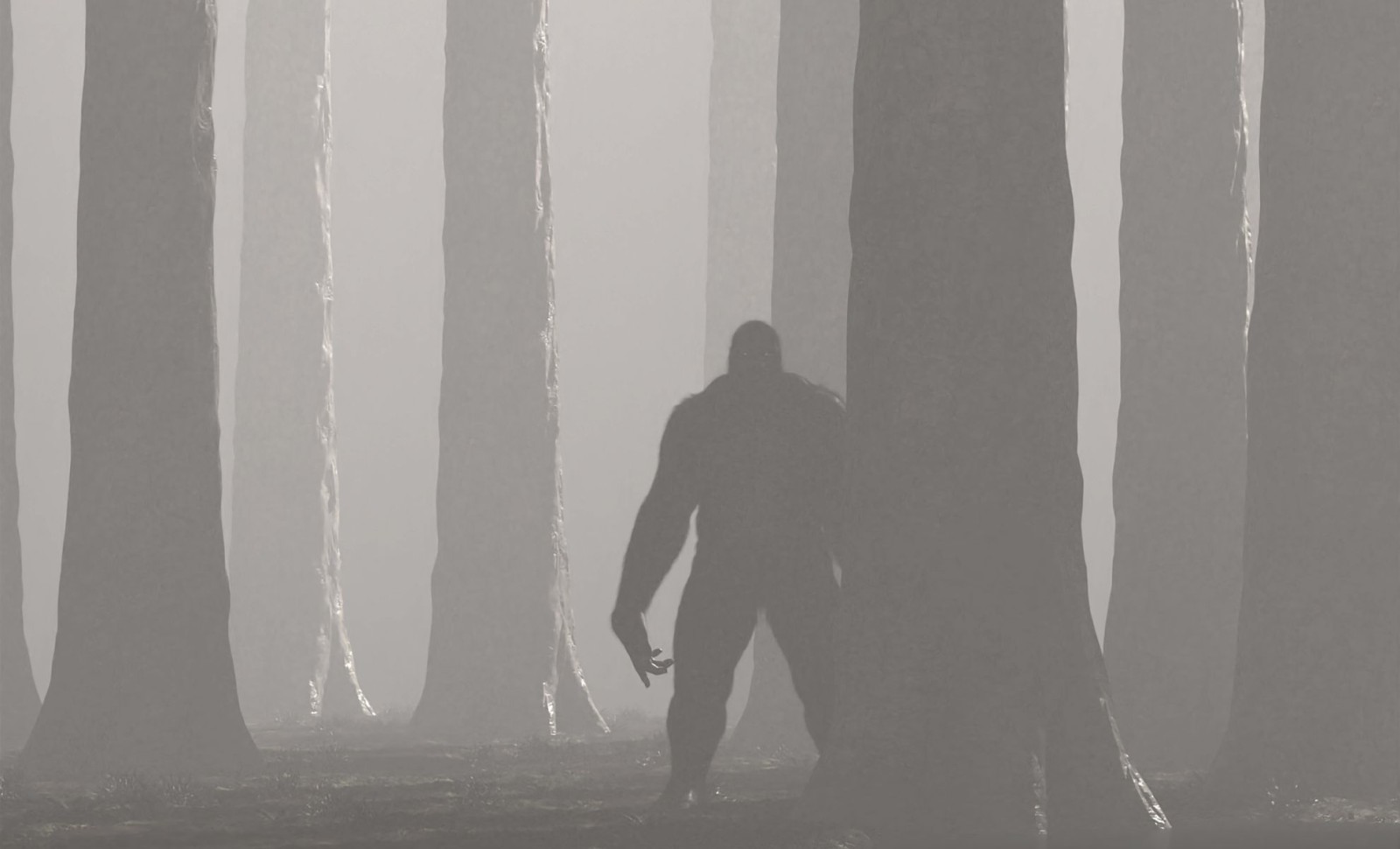 Unraveling the Mystery of Florida’s Skunk Ape: Myth or Misidentified Bear? 