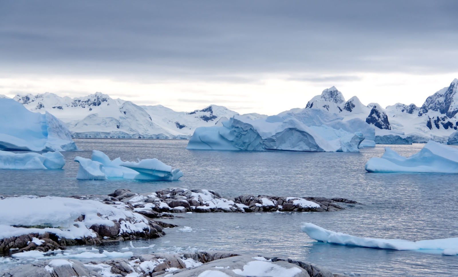 Autonomous Submarine Discovers Unusual Ice Formations Beneath Antarctica Before Vanishing 