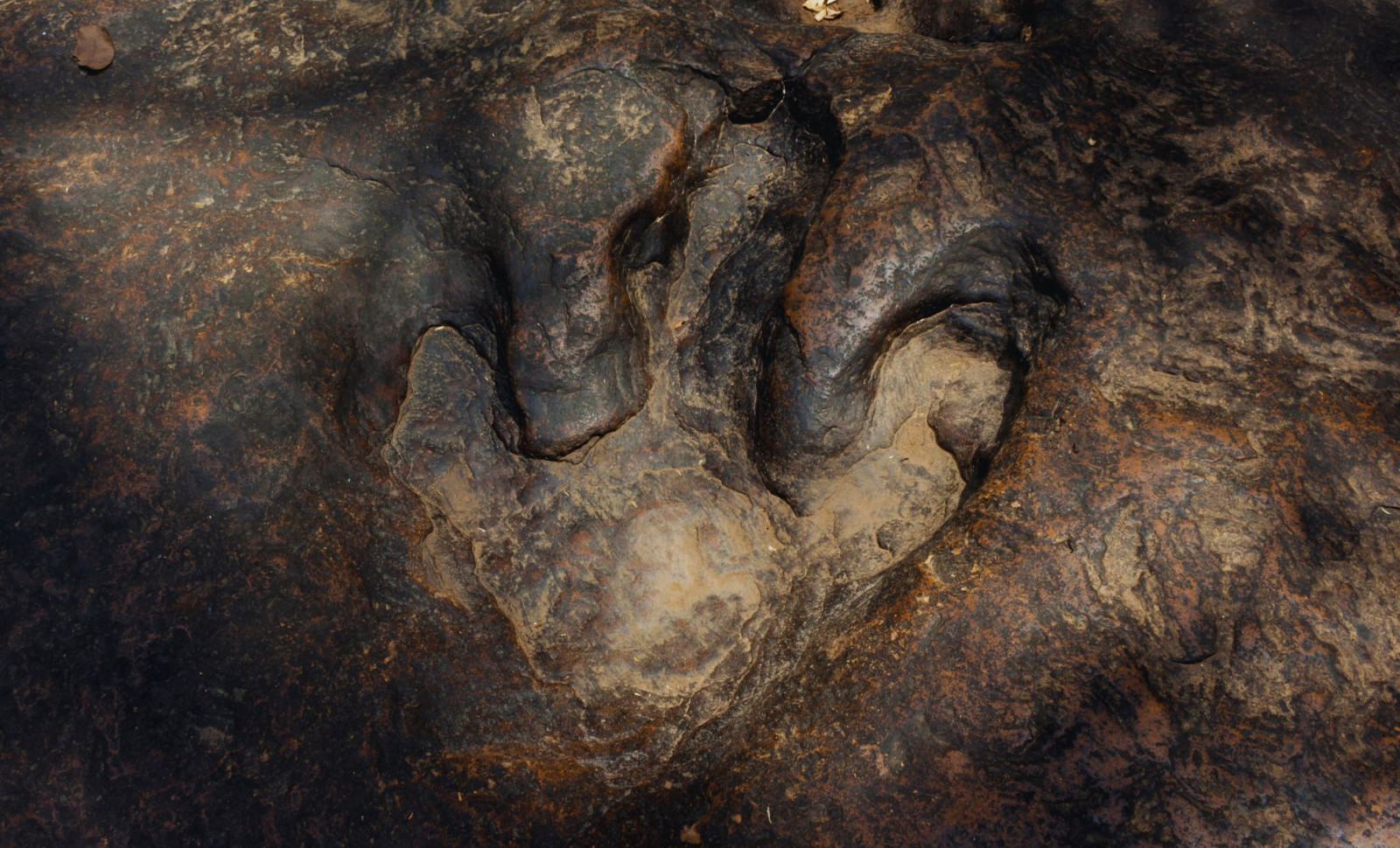 Largest Dinosaur Foot Ever Found in Wyoming Sets New Record After Two Decades 