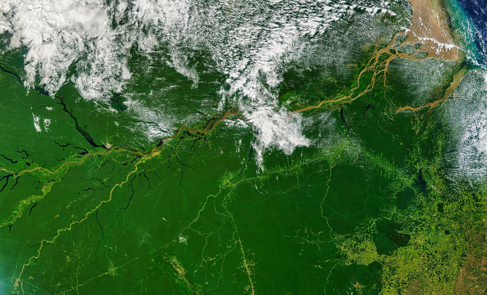 Scientists Identify a Novel 'Hypertropical' Phase Transforming the Amazon Rainforest 