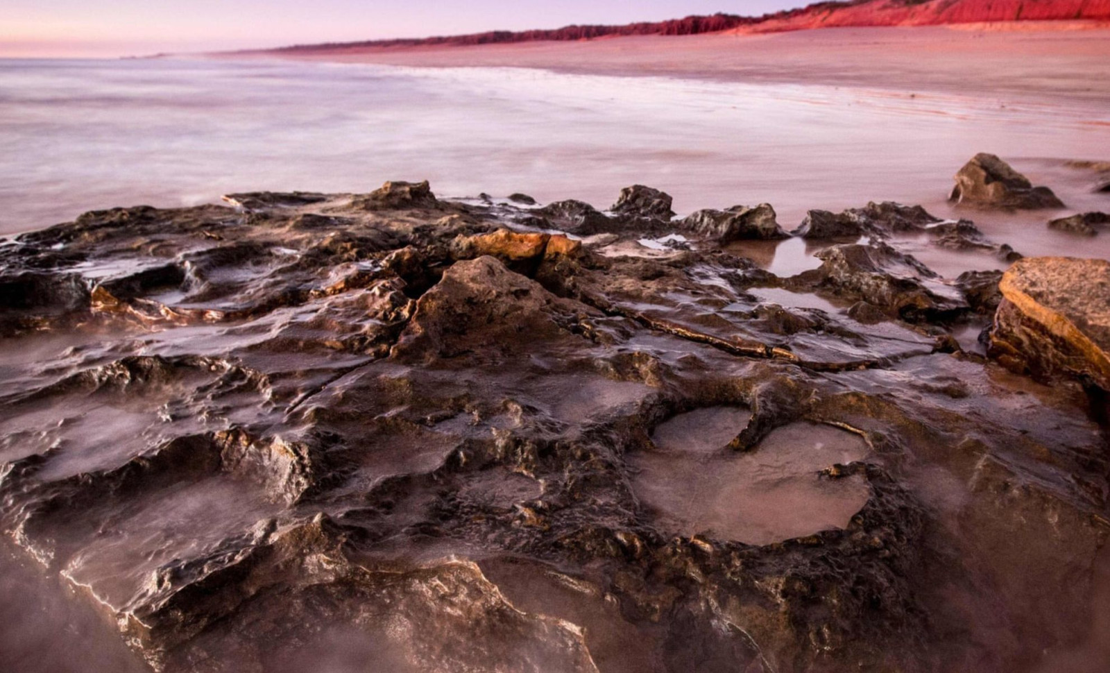 Massive Dinosaur Footprints Unearthed in Western Australia, Larger Than Ever Recorded 