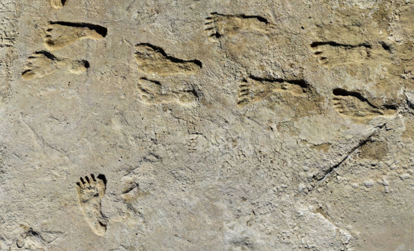 Oldest Human Footprints Found in New Mexico Redefine Migration History 