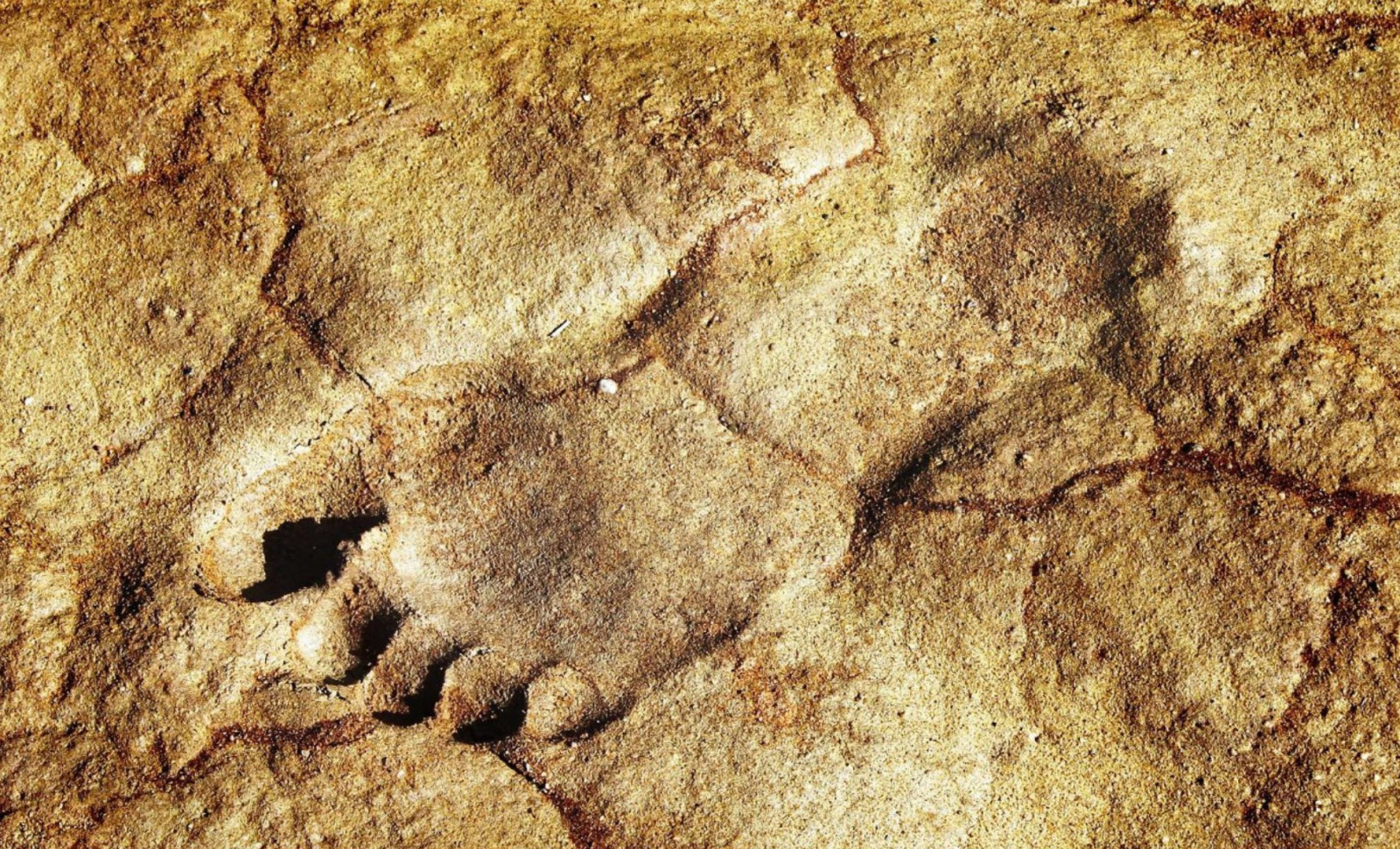 Ancient Human Footprints Unearthed in Saudi Arabia Rewrite History of Early Migration 