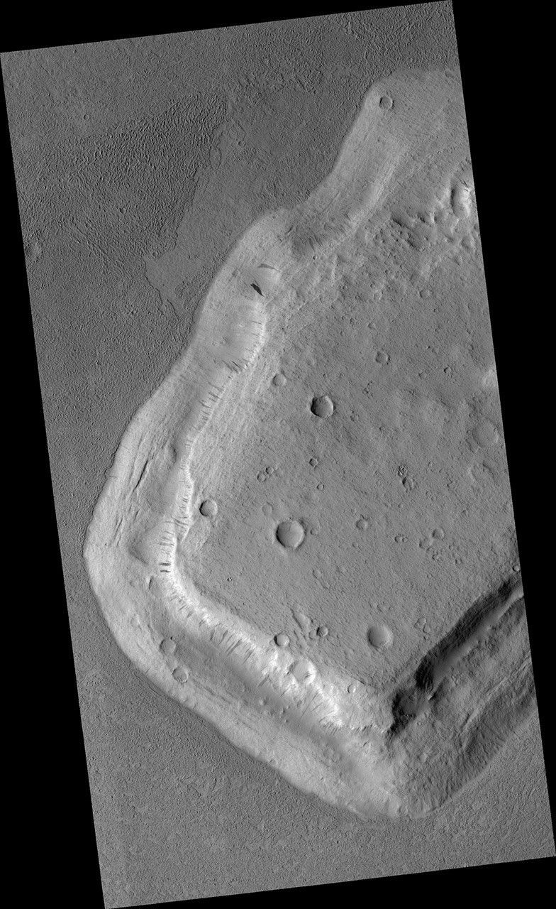 4aabd2630064bfcafad4353251215921.jpg