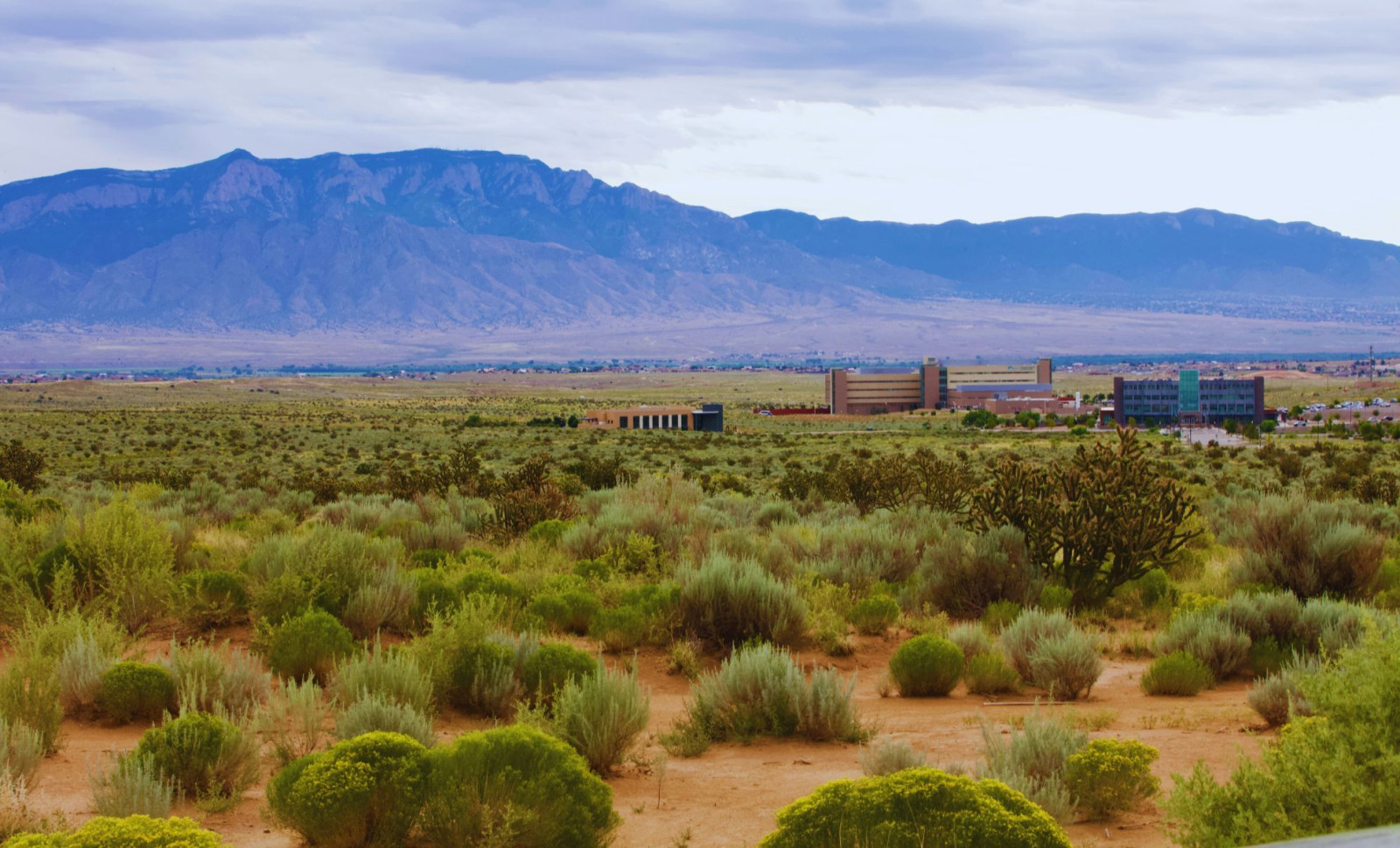 The Enduring Mystery of the Taos Hum: A Sound Without a Source 