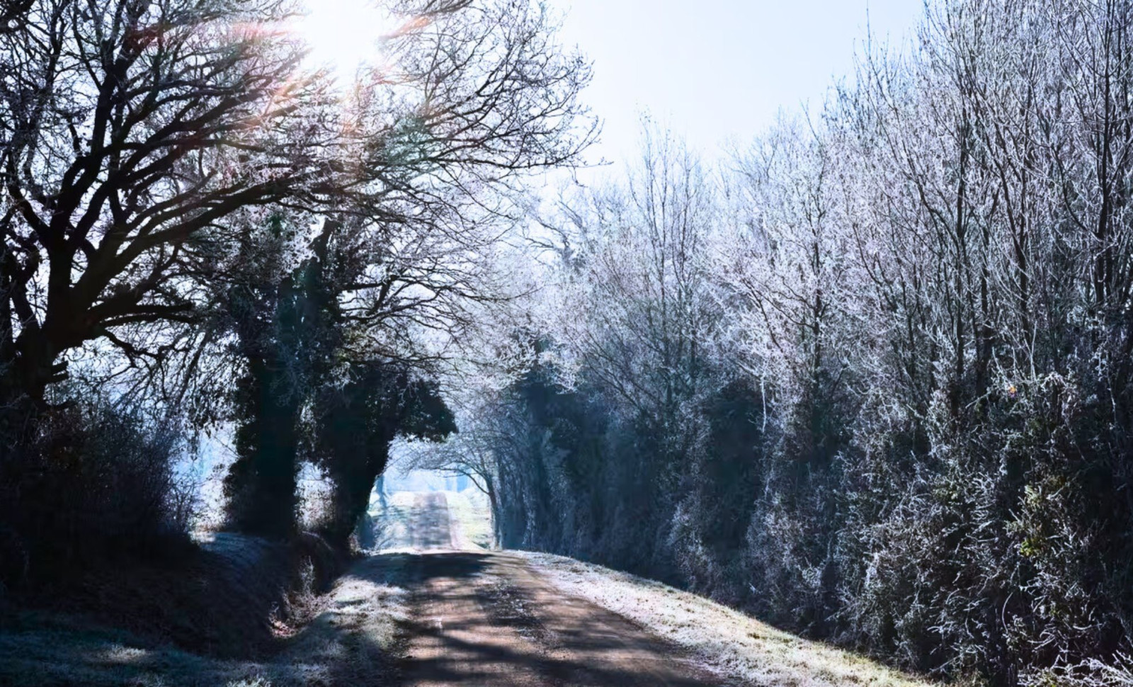 Why Winter’s Chill Is Crucial for Life and Agriculture Amid Rising Global Temperatures 