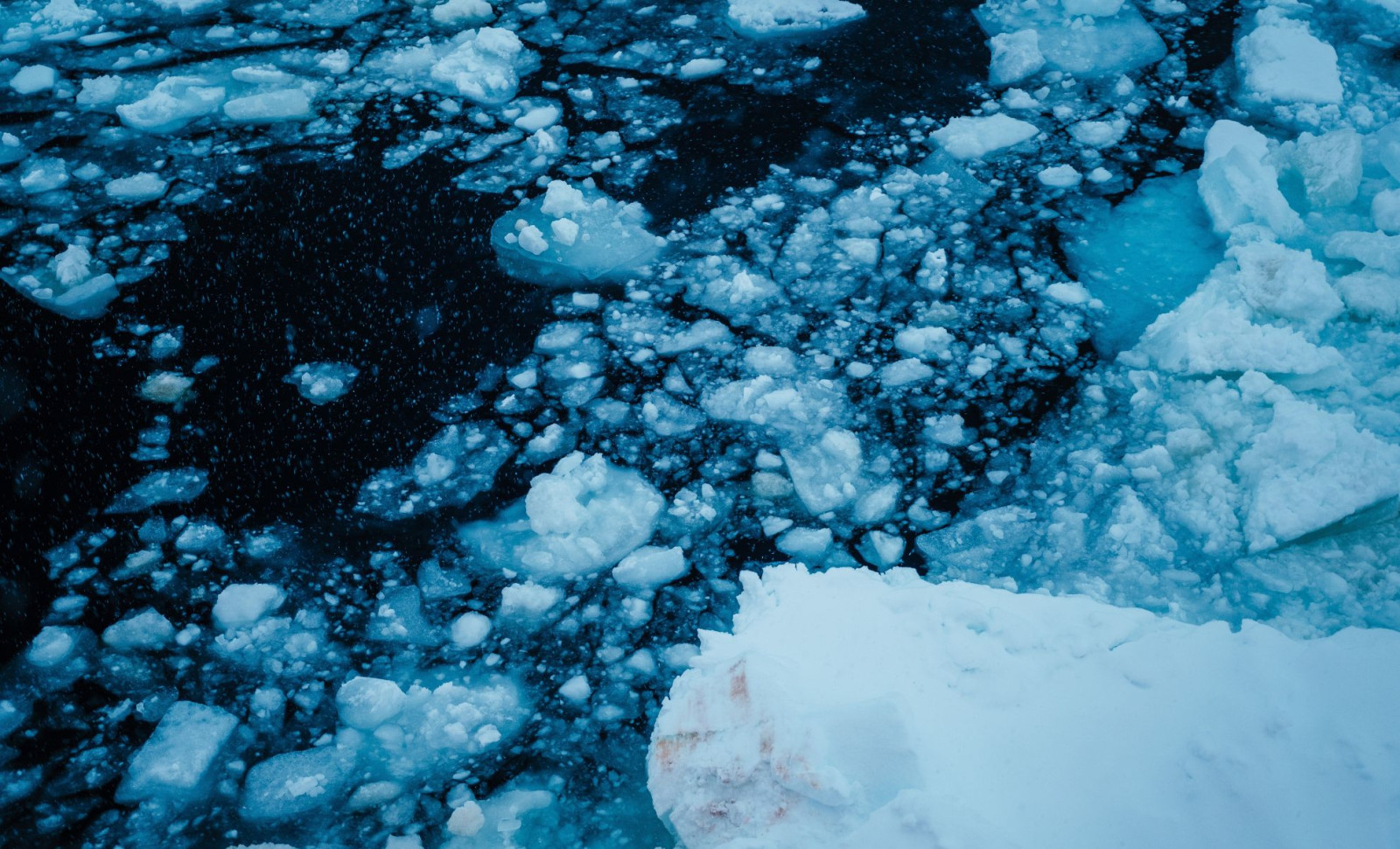 The Long-Lived Antarctic Iceberg A-23A is Rapidly Melting and Turning Blue 