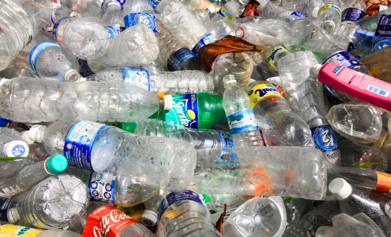 Toxic Chemicals Found in Common Kitchen Plastics Pose Risks to Millions of Families 