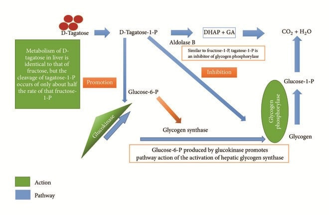 9fc2ec6026c5d485eaace76a43a942cf.jpeg
