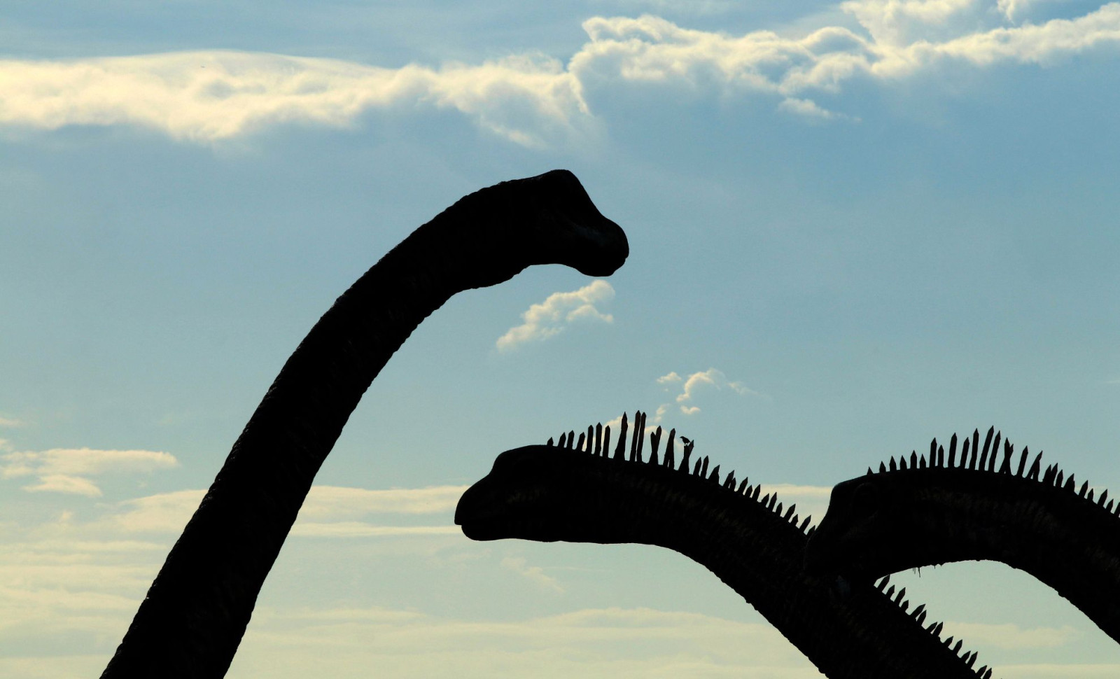 Unraveling How Giant Sauropods Developed Colossal Necks That Altered Their Gait 