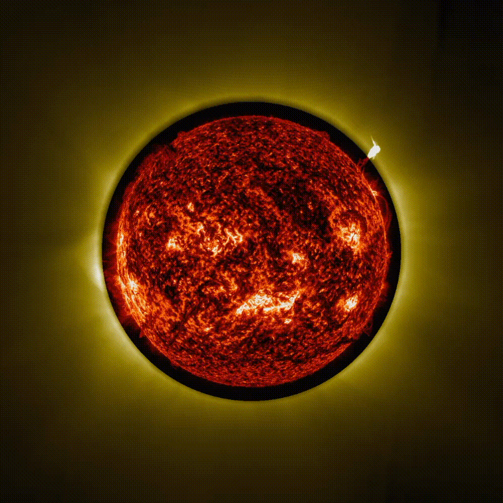 3cda7794613bd3dfc81ce4af20cd1602.gif